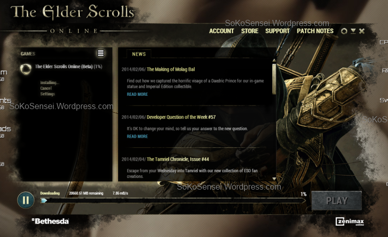 The Elder Scrolls Online    